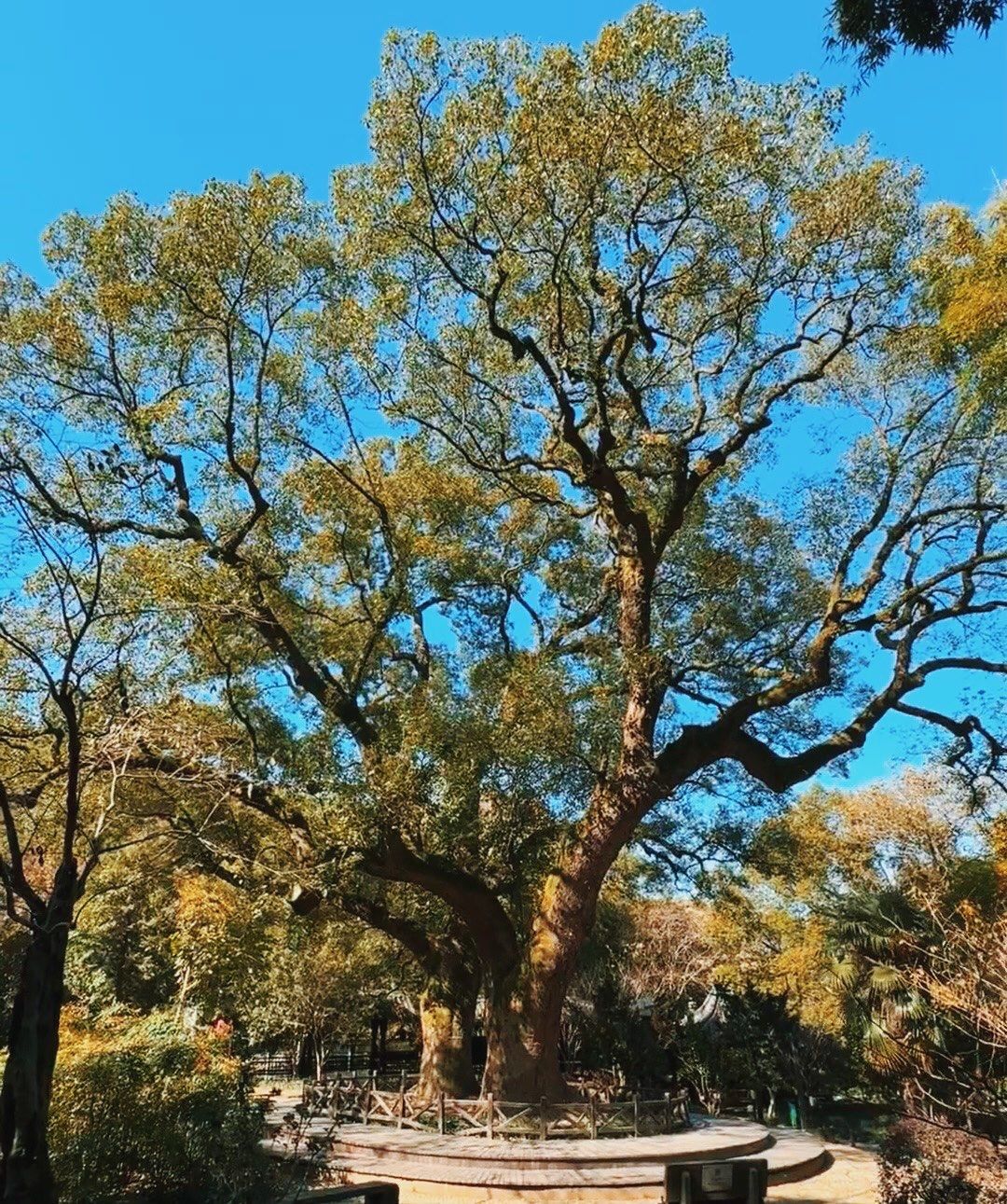 宝藏古村慈溪方家河头