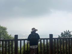 -铁山坪森林公园