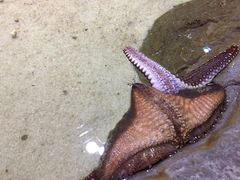 -多彩贵州城极地海洋世界