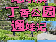 -群力丁香公园