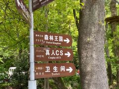 -WeLope紫金山探险公园
