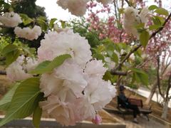 -济南国际园博园