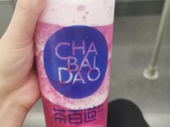 粉荔多肉-茶百道(学府路店)