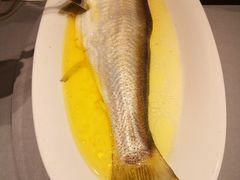 鸡汁白鱼-狮王府淮扬菜(新街口友谊店)