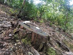 -小格里自然风景区