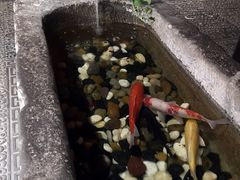 特色孜然锅-和院老火锅铜锅烧烤海鲜(朱雀大街店)