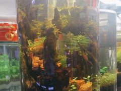 -三旗百汇商品城