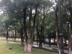 -重庆市江北嘴中央商务区中央公园