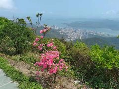 -梧桐山风景名胜区