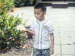 -新加坡文华东方酒店