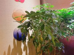 -桂满陇·手作小笼包&江南叫花鸡(中山公园店)