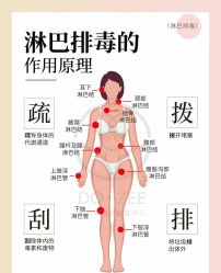 -香薇妮丝·定制减肥·身材管理