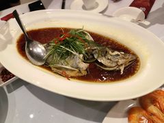 清蒸桂鱼-沪碟·精菜坊(闵行店)