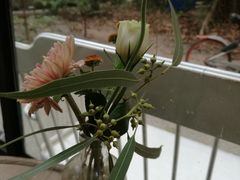 -Kekimatata 生日蛋糕·烘焙教学
