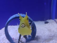 -大连圣亚海洋世界