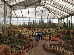 -南通洲际绿博园