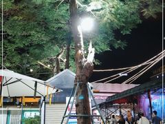 -凤城·食都