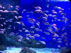 -成都浩海立方海洋公园