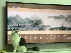 -联合动物医院(光谷诊疗中心)