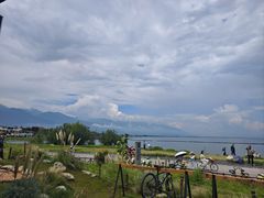 -洱海月湿地公园