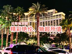 -拉斯维加斯O秀