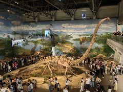 -自贡恐龙博物馆