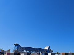 -日照海滨国家森林公园