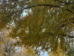 -辽宁大学(崇山校区)