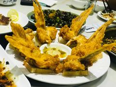 -港升鱼师傅·中山脆肉鲩