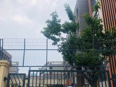 -金陵中学(河西分校)