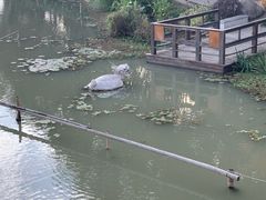 -昆山城市生态森林公园