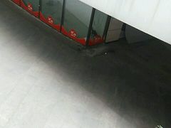 -潘大师炸鸡腿(莱蒙店)