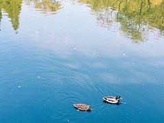 -国家植物园南园