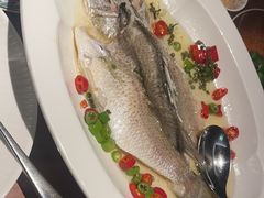 -海派悦庭·海胆烧麦·新融合菜(凯德广场店)