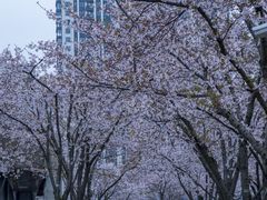 -龙美术馆(西岸馆)