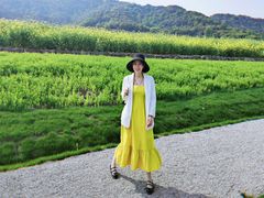 -汇德隆银隆