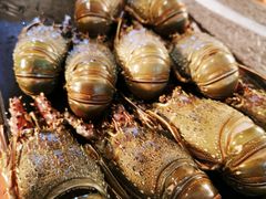 -远洲凤凰山庄臻味全日餐厅