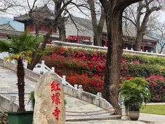 -红螺寺