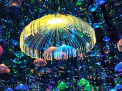 -上海梵高星空艺术馆(南京路旗舰店)