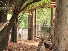 -费瑟代尔野生动物园