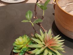 -老家水饺濮阳菜(巴黎街店)