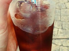 -罗汉果龙眼冰糖燉冬瓜