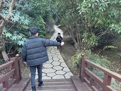 -桃花岛景观公园
