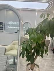 -宇东国际 HAIR SALON