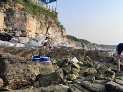 -养马岛旅游度假区