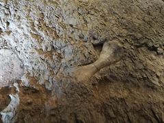 -世界恐龙谷景区