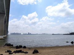-中澳友谊花园