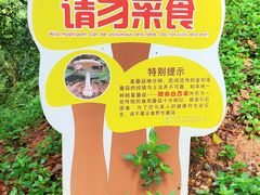 -广州市白云山风景名胜区