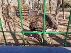 -长白岛森林公园