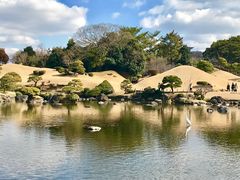 -水前寺成趣园